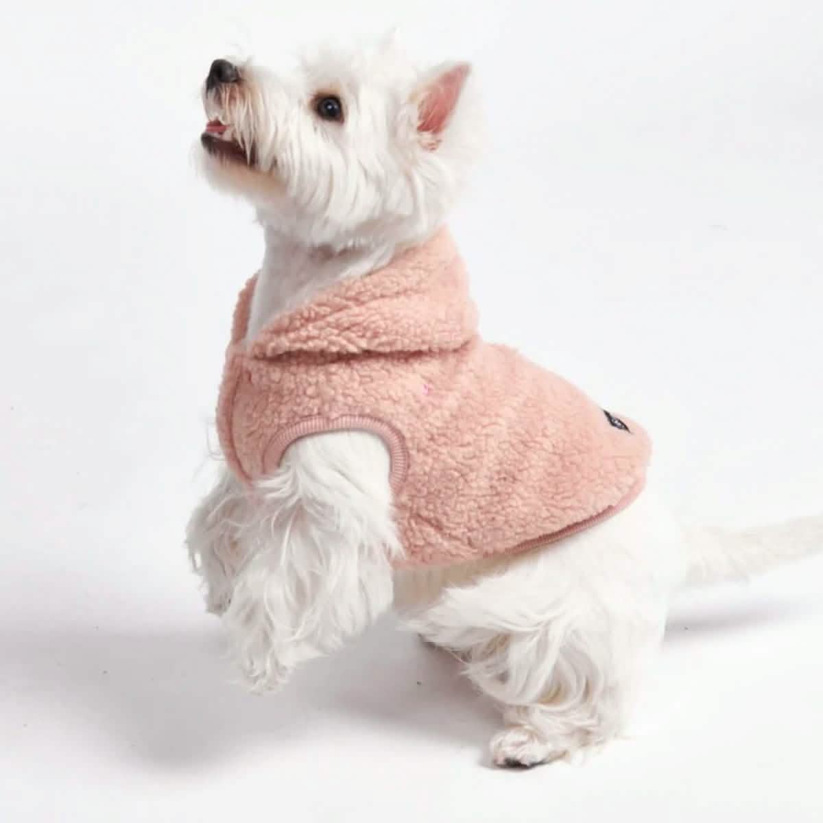 Teddy Sherpa Dog Sweaters