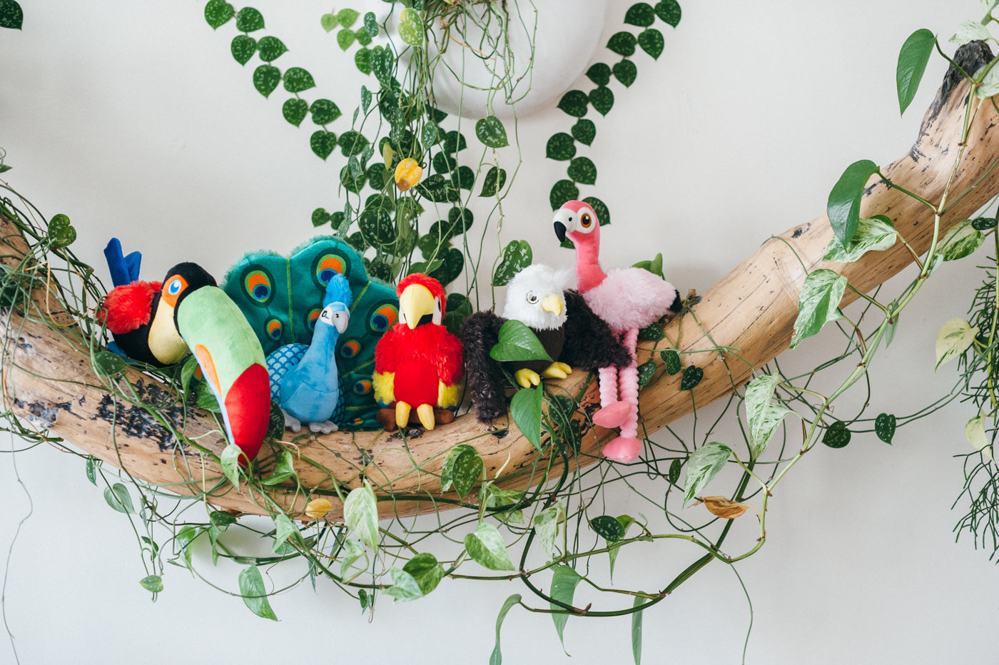 Fetching Flock Collection