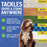 Wizz – Natural Pet Odor Eliminator