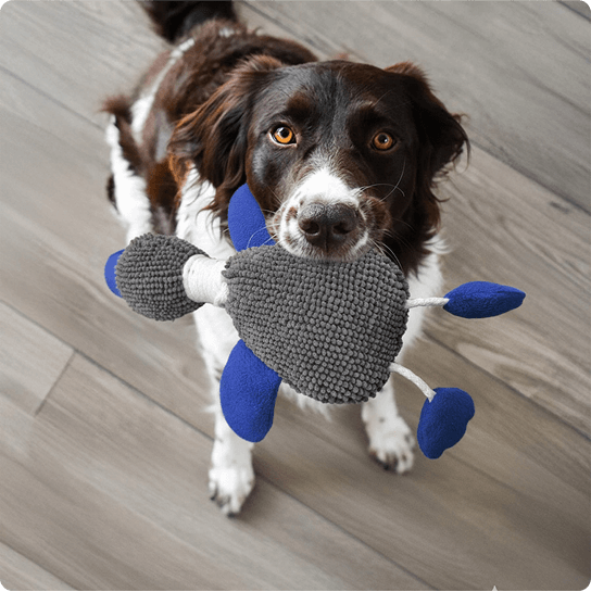 Wumarts Mat Duck Dog Toy for Indoor & Outdoor Play – Durable Chenille Plush Dog Toys for Aggressive Chewers, Safe & Fun for All Breeds