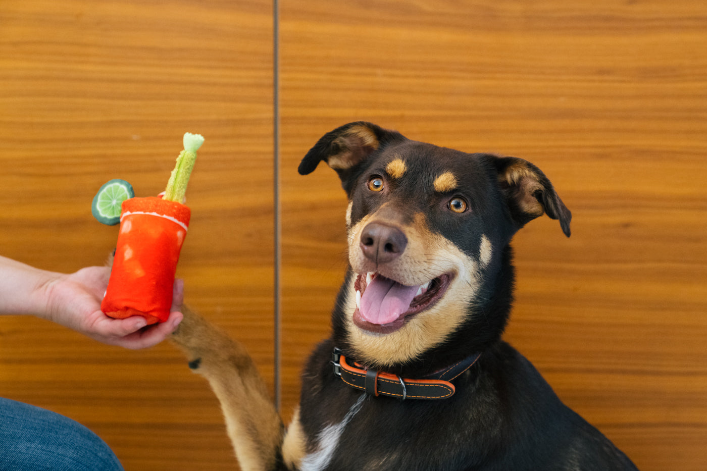 Barking Brunch Collection