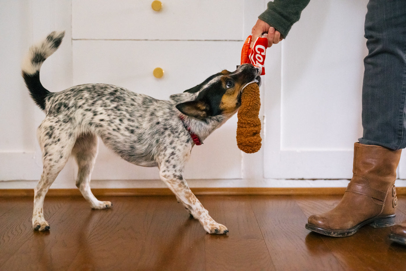 Snack Attack Collection