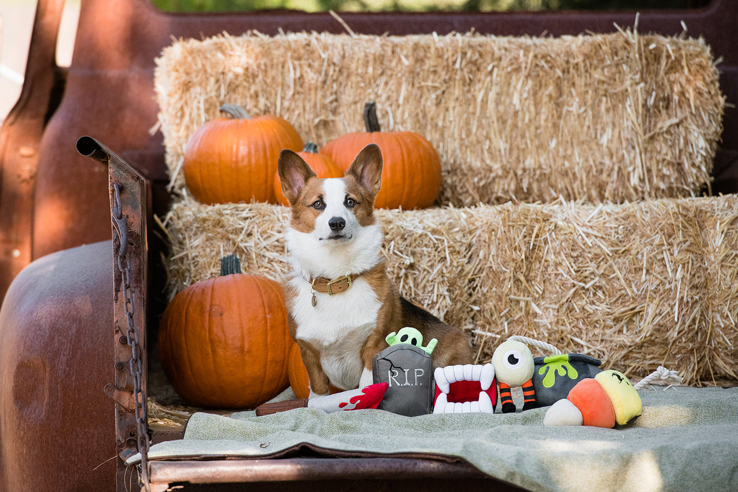 Howling Haunts Collection