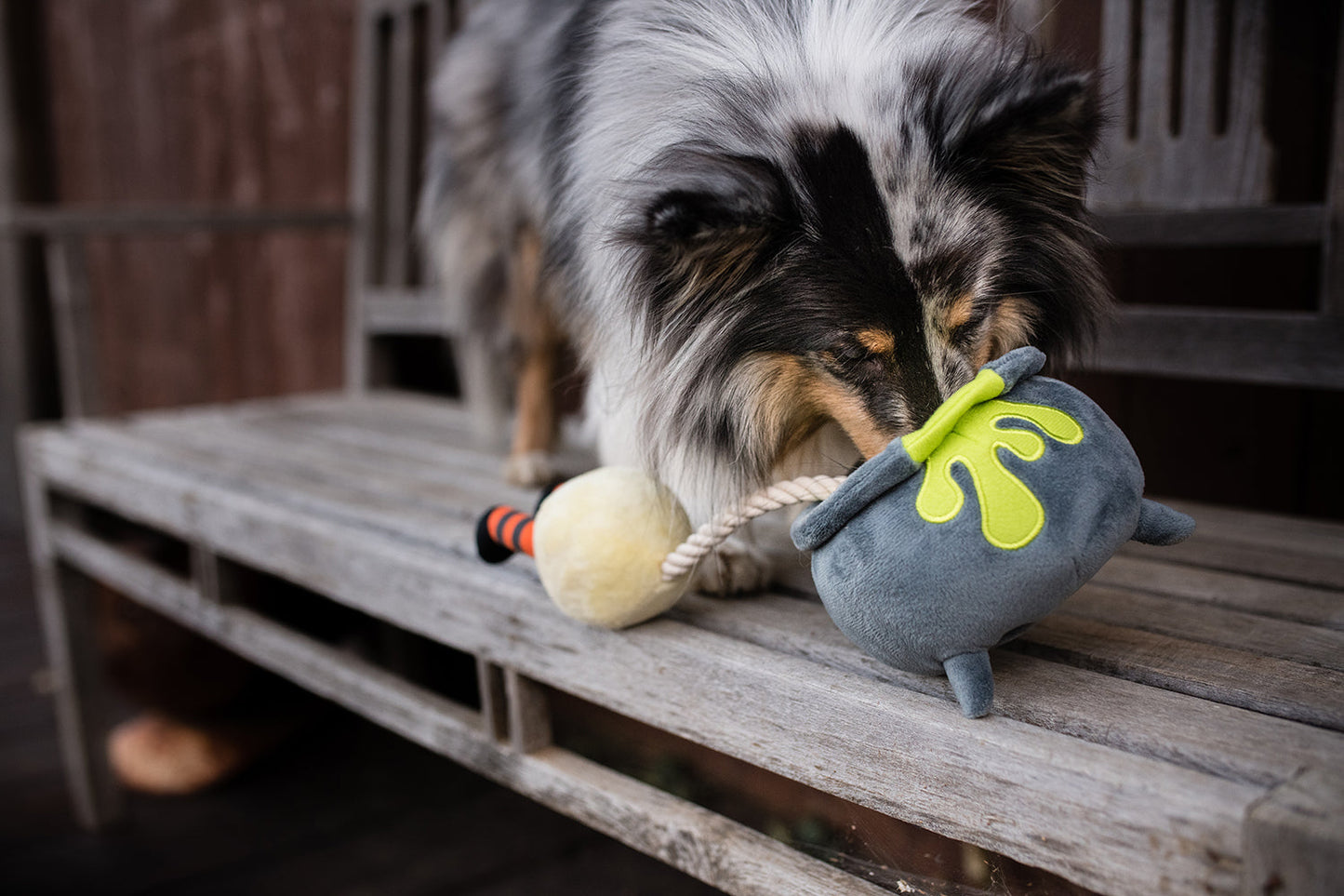 Howling Haunts Collection