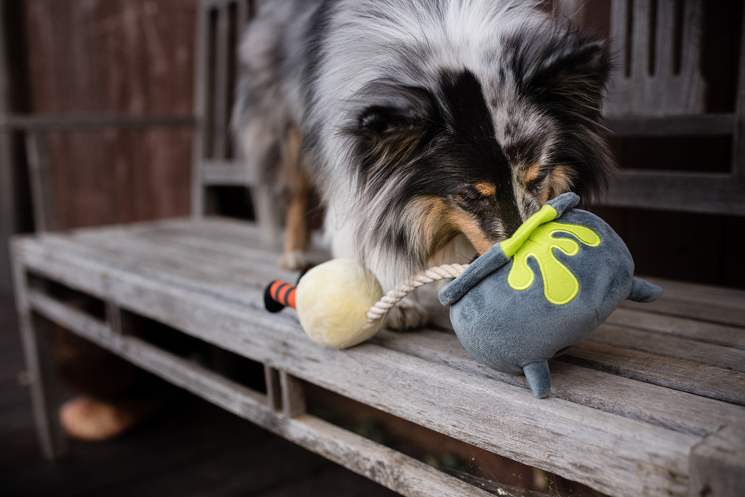 Howling Haunts Collection