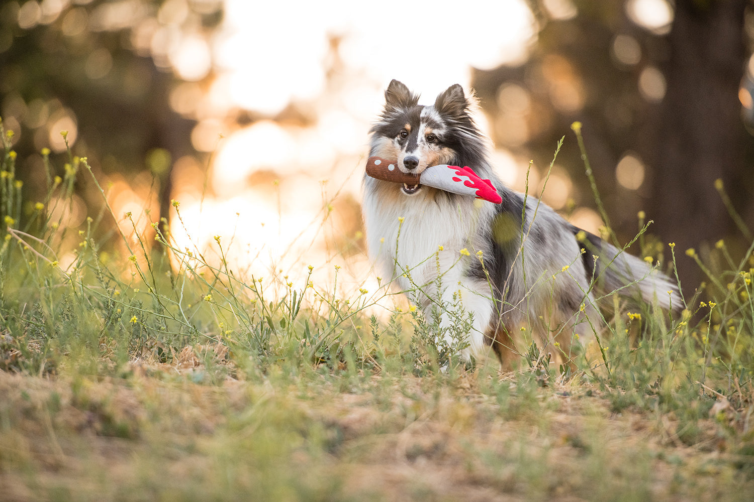 Howling Haunts Collection